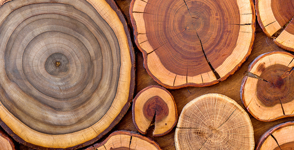 What Sets End Grain Apart From the Rest
