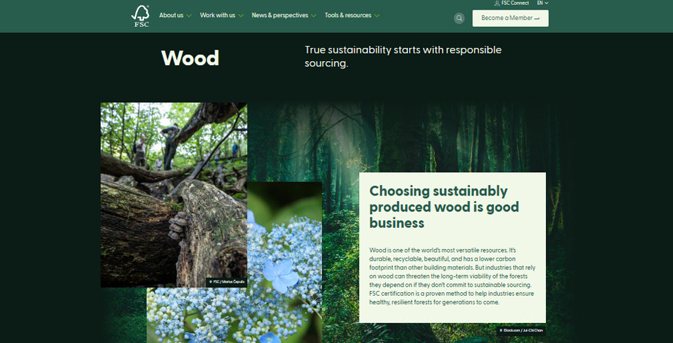 Green Rules for Wood in LA