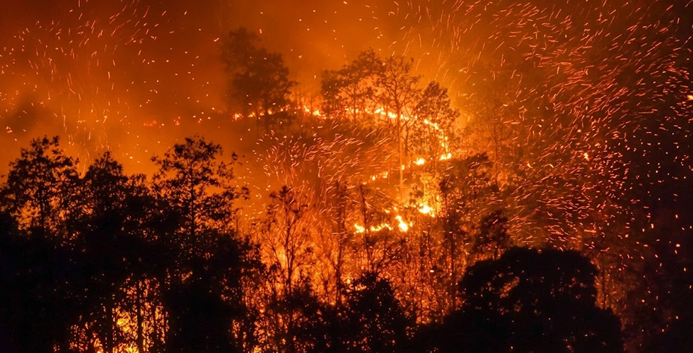 Embers Are a Bigger Threat Than Direct Flames