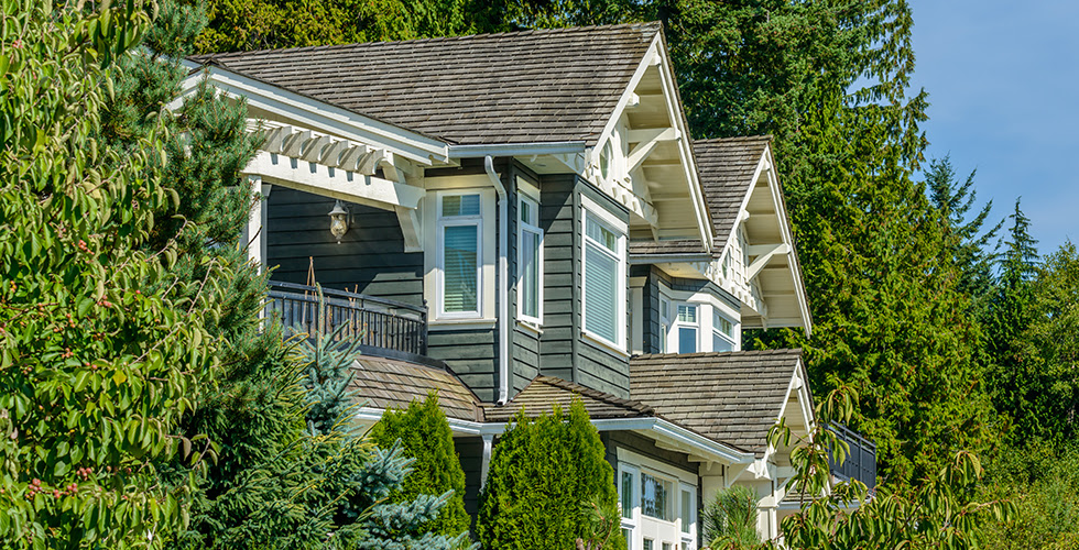 Pick the Right Wood for Your Hillside