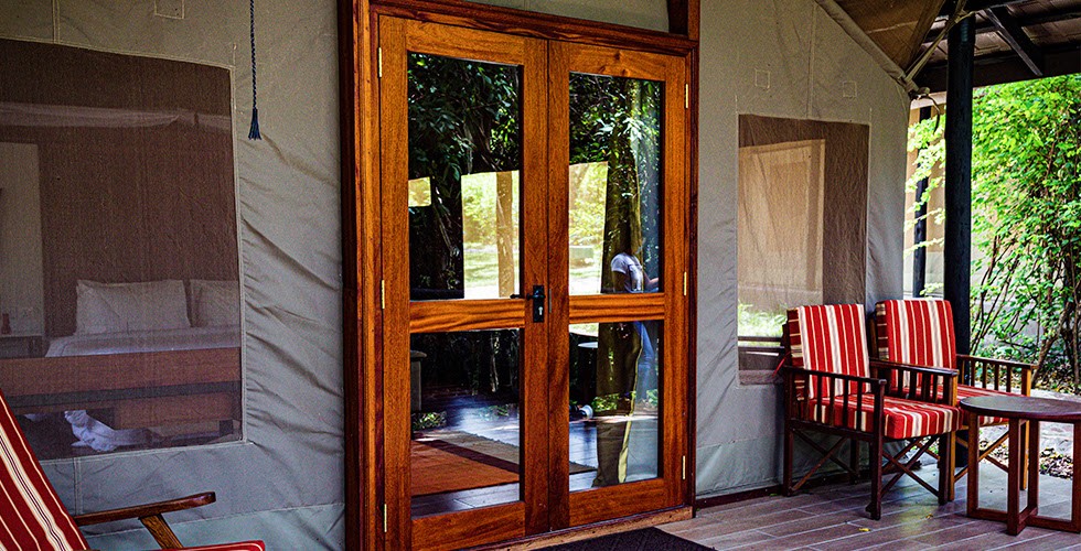 How Wood Choice Affects Your Patio Door